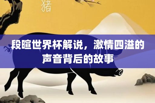 段暄世界杯解说，激情四溢的声音背后的故事