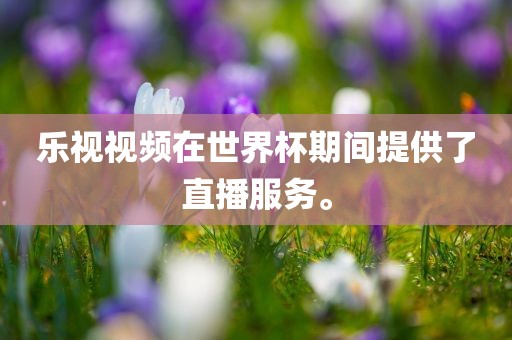 乐视视频在世界杯期间提供了直播服务。