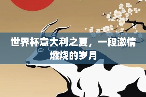 世界杯意大利之夏，一段激情燃烧的岁月