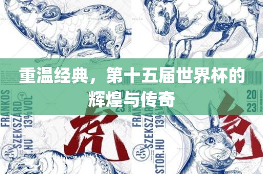 重温经典，第十五届世界杯的辉煌与传奇
