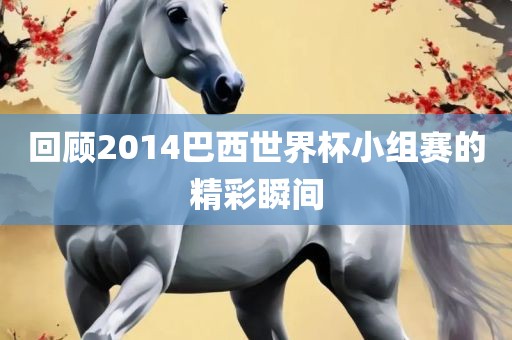 回顾2014巴西世界杯小组赛的精彩瞬间