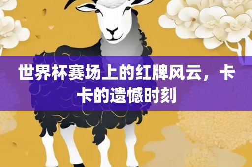 世界杯赛场上的红牌风云，卡卡的遗憾时刻