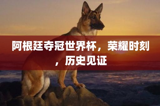 阿根廷夺冠世界杯，荣耀时刻，历史见证