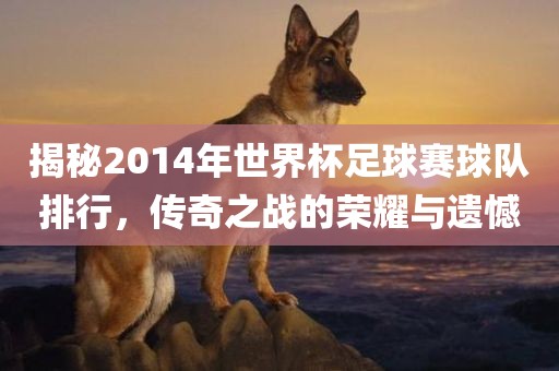 揭秘2014年世界杯足球赛球队排行，传奇之战的荣耀与遗憾