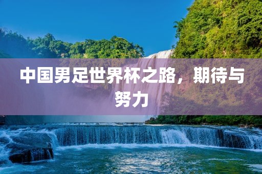 中国男足世界杯之路，期待与努力吉安市靖泰电力工程有限公司