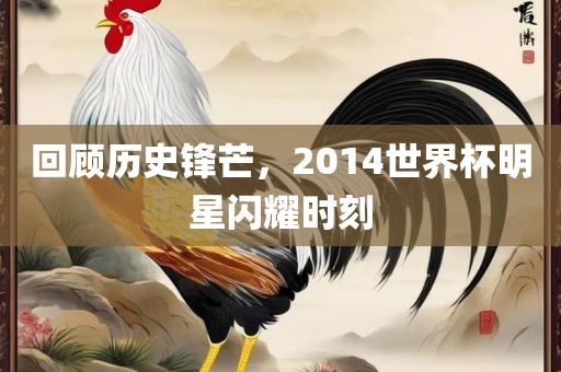 回顾历史锋芒，2014世界杯明星闪耀时刻
