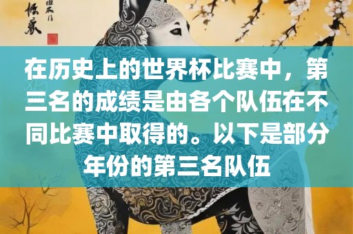 在历史上的世界杯比赛中，第三名的成绩是由各个队伍在不同比赛中取得的。以下是部分年份的第三名队伍