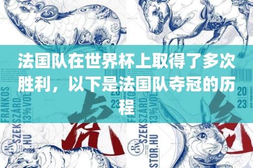 法国队在世界杯上取得了多次胜利，以下是法国队夺冠的历程吉安市靖泰电力工程有限公司
