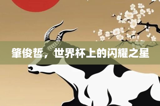 肇俊哲，世界杯上的闪耀之星