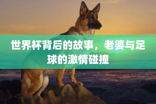 世界杯背后的故事，老婆与足球的激情碰撞