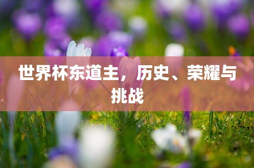 世界杯东道主，历史、荣耀与挑战