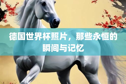 德国世界杯照片，那些永恒的瞬间与记忆