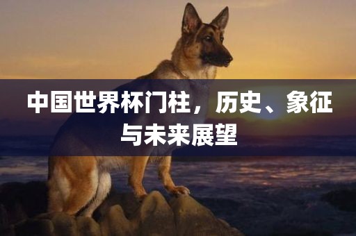 中国世界杯门柱，历史、象征与未来展望