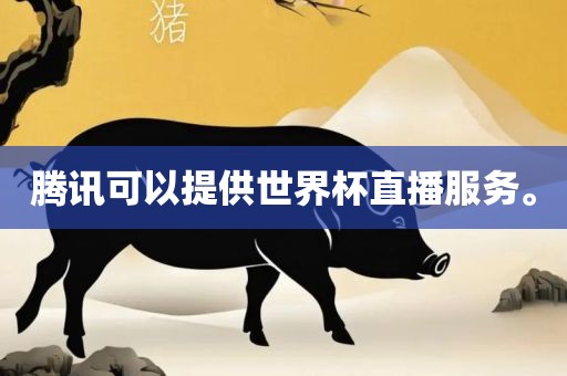 腾讯可以提供世界杯直播服务。