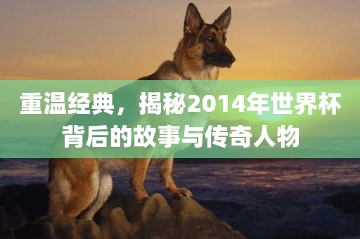 重温经典，揭秘2014年世界杯背后的故事与传奇人物
