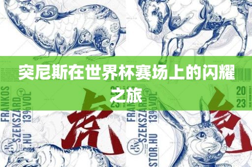 突尼斯在世界杯赛场上的闪耀之旅
