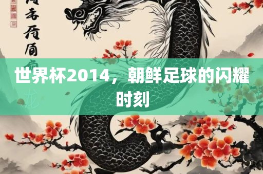 世界杯2014，朝鲜足球的闪耀时刻