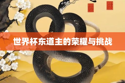 世界杯东道主的荣耀与挑战