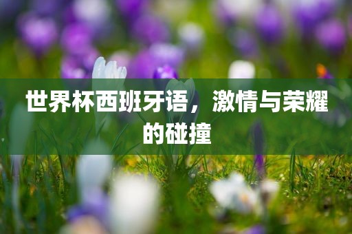世界杯西班牙语，激情与荣耀的碰撞
