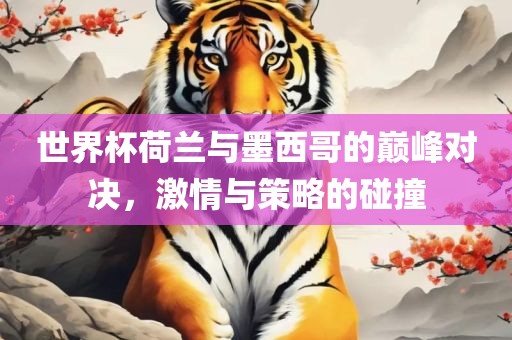 世界杯荷兰与墨西哥的巅峰对决，激情与策略的碰撞