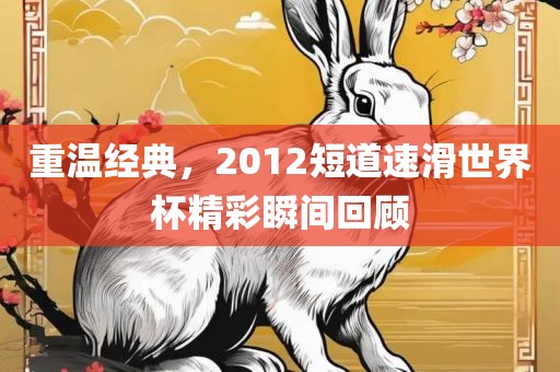 重温经典，2012短道速滑世界杯精彩瞬间回顾
