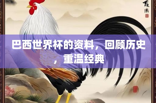 巴西世界杯的资料，回顾历史，重温经典