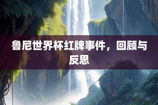 鲁尼世界杯红牌事件，回顾与反思