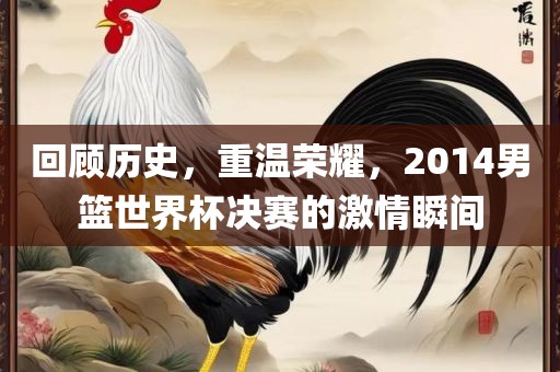 回顾历史，重温荣耀，2014男篮世界杯决赛的激情瞬间