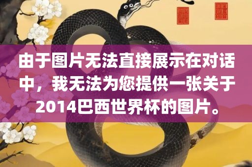 由于图片无法直接展示在对话中，我无法为您提供一张关于2014巴西世界杯的图片。