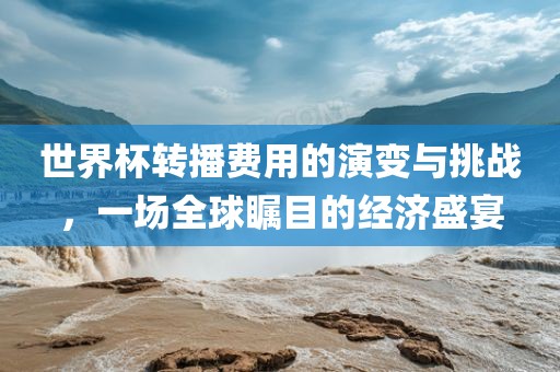 世界杯转播费用的演变与挑战，一场全球瞩目的经济盛宴