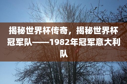 揭秘世界杯传奇，揭秘世界杯冠军队——1982年冠军意大利队