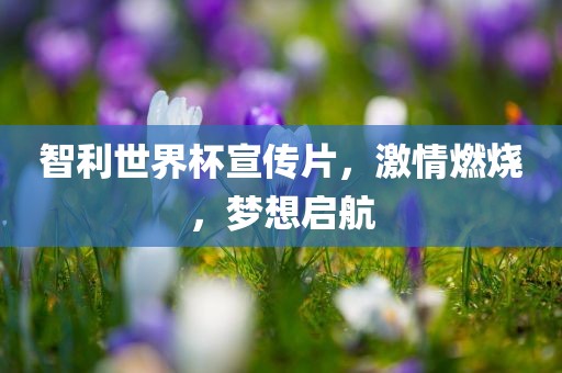 智利世界杯宣传片，激情燃烧，梦想启航