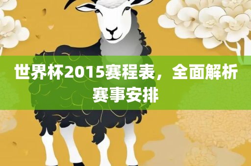 世界杯2015赛程表，全面解析赛事安排