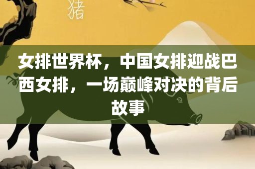 女排世界杯，中国女排迎战巴西女排，一场巅峰对决的背后故事