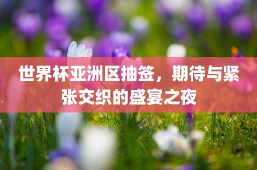 世界杯亚洲区抽签，期待与紧张交织的盛宴之夜