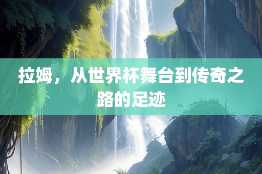 拉姆，从世界杯舞台到传奇之路的足迹