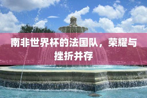 南非世界杯的法国队，荣耀与挫折并存