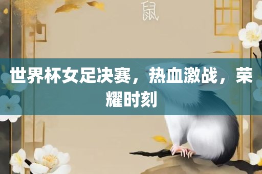 世界杯女足决赛，热血激战，荣耀时刻