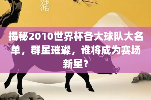 揭秘2010世界杯各大球队大名单，群星璀璨，谁将成为赛场新星？