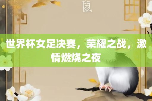 世界杯女足决赛，荣耀之战，激情燃烧之夜