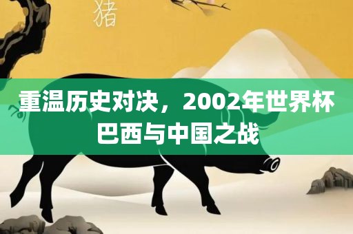 重温历史对决，2002年世界杯巴西与中国之战