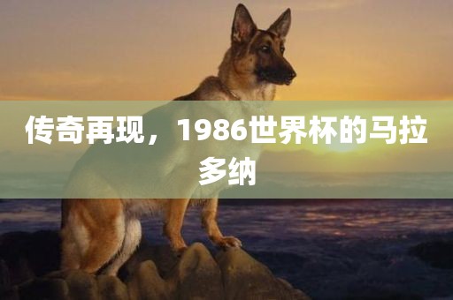 传奇再现，1986世界杯的马拉多纳