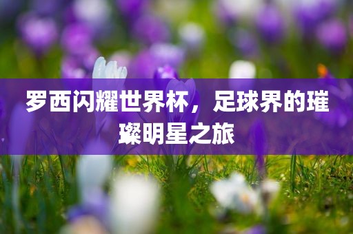 罗西闪耀世界杯，足球界的璀璨明星之旅
