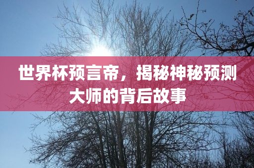世界杯预言帝，揭秘神秘预测大师的背后故事