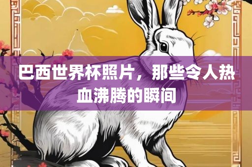 巴西世界杯照片，那些令人热血沸腾的瞬间