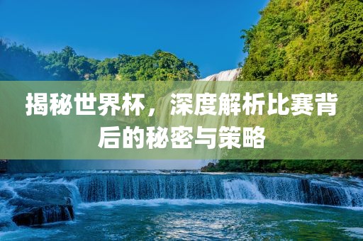 揭秘世界杯，深度解析比赛背后的秘密与策略