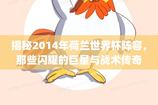 揭秘2014年荷兰世界杯阵容，那些闪耀的巨星与战术传奇