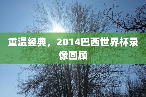 重温经典，2014巴西世界杯录像回顾