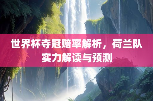 世界杯夺冠赔率解析，荷兰队实力解读与预测