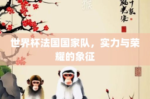 世界杯法国国家队，实力与荣耀的象征